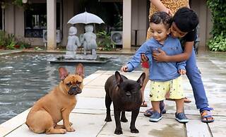 Manas Resort with Petting Zoo