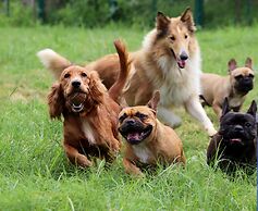 Manas Resort with Petting Zoo