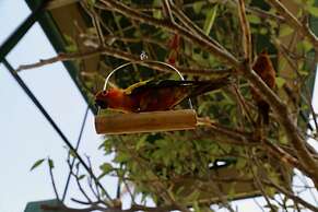 Manas Resort with Petting Zoo