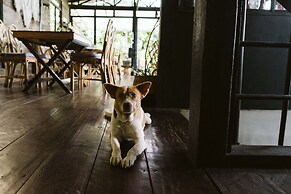 The Birdhouse El Nido - Glamping