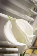 Affittacamere Bellavista