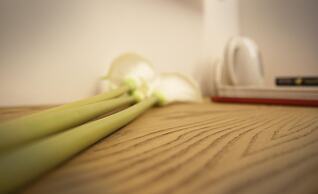 Affittacamere Bellavista