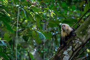 Hotel Manuel Antonio