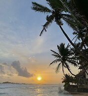 Turtles Rest and Curry Bowl