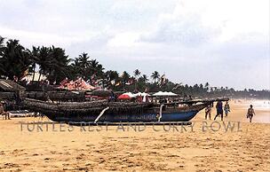 Turtles Rest and Curry Bowl