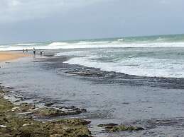 Turtles Rest and Curry Bowl