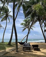 Turtles Rest and Curry Bowl