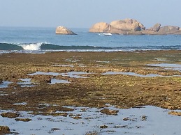 Turtles Rest and Curry Bowl