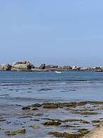 Turtles Rest and Curry Bowl