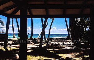 Turtles Rest and Curry Bowl