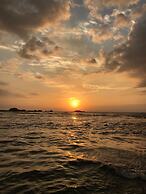 Turtles Rest and Curry Bowl