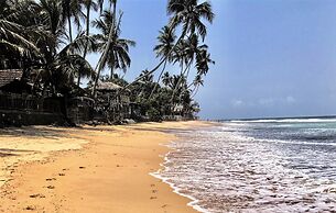 Turtles Rest and Curry Bowl