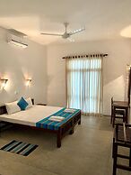 Turtles Rest and Curry Bowl