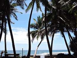 Turtles Rest and Curry Bowl