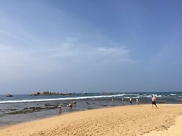 Turtles Rest and Curry Bowl