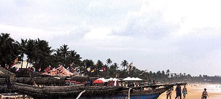 Turtles Rest and Curry Bowl