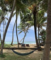 Turtles Rest and Curry Bowl