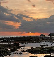 Turtles Rest and Curry Bowl