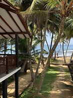 Turtles Rest and Curry Bowl