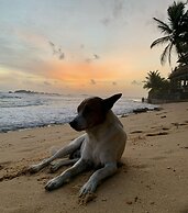 Turtles Rest and Curry Bowl