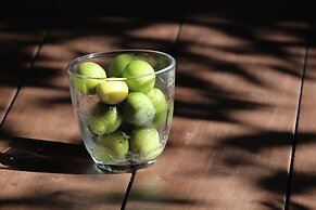HARUYA Umekoji - Hostel