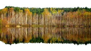 Rezydencja nad jeziorem - Pestkownica