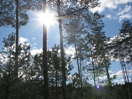 Rezydencja nad jeziorem - Pestkownica