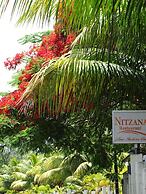 Nitzana Residences & Restaurant