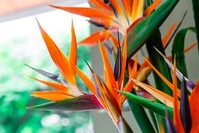 Hotel Casa Vallecaucana