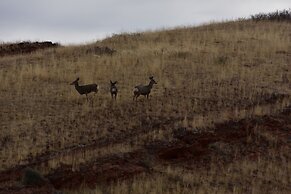 Bighorn Lodge and Angler