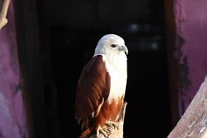 Sreekrishna Houseboats