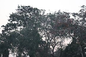 Sreekrishna Houseboats