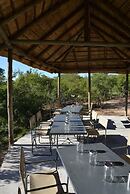 Wild Olive Tree Camp