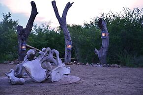 Wild Olive Tree Camp