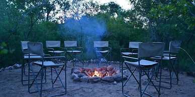 Wild Olive Tree Camp