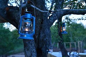 Wild Olive Tree Camp