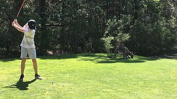 Laguna Lodge Holiday Units