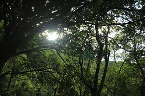 Island Smiles Homestay