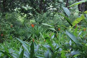 Island Smiles Homestay