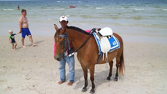 Sunshine Guest House