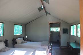 Mtomeni Safari Camp