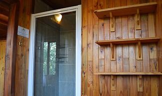 Lion Tree Bush Lodge