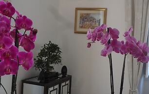 Casa Coimbra Guesthouse & Garden