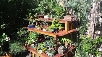 Casa Coimbra Guesthouse & Garden