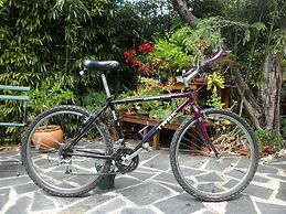 Casa Coimbra Guesthouse & Garden