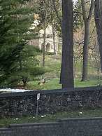 Darlington House B&B