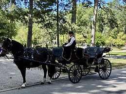 Darlington House B&B