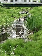 Darlington House B&B