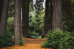 AutoCamp Russian River