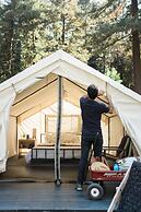 AutoCamp Russian River